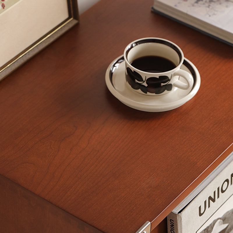 Modern Mid-Century Wooden And Stainless Steel Rectangular Side Table 1-Cabinet For Living Room