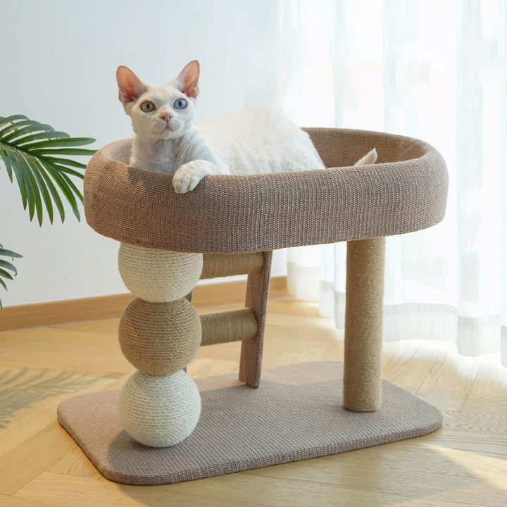Torre para gatos contemporánea boho elipse MDF cuerda de cáñamo tela de cáñamo resistente al desgaste de 2 niveles para sala de estar 
