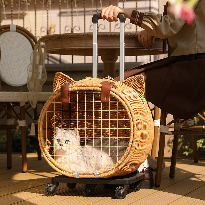 Contemporary Creative Cartoon Cat Iron PE Rattan Weaving Portable & Movable Hollowed-Out Cat Bed 1- Basket For Garden
