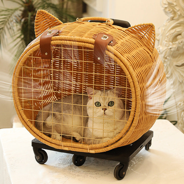 Contemporary Creative Cartoon Cat Iron PE Rattan Weaving Portable & Movable Hollowed-Out Cat Bed 1- Basket For Garden