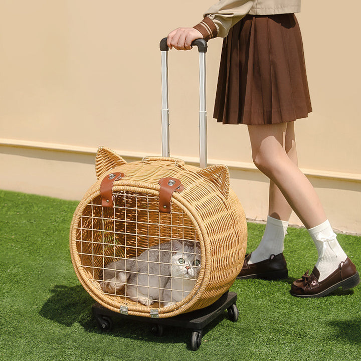 Contemporary Creative Cartoon Cat Iron PE Rattan Weaving Portable &amp; Movable Hollowed-Out Cat Bed 1- Basket For Garden