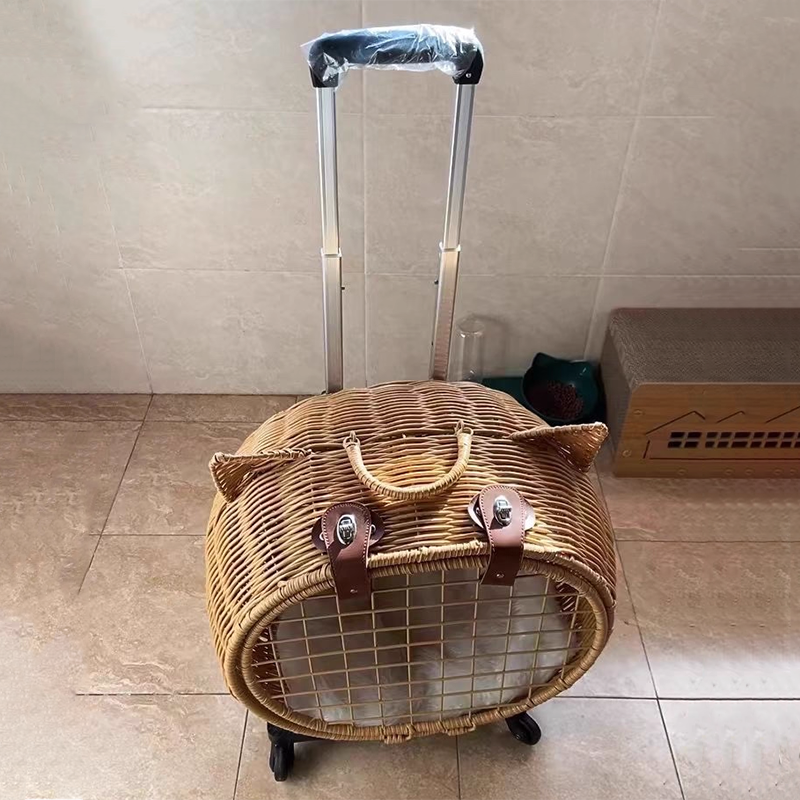 Contemporary Creative Cartoon Cat Iron PE Rattan Weaving Portable &amp; Movable Hollowed-Out Cat Bed 1- Basket For Garden