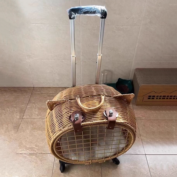 Contemporary Creative Cartoon Cat Iron PE Rattan Weaving Portable &amp; Movable Hollowed-Out Cat Bed 1- Basket For Garden