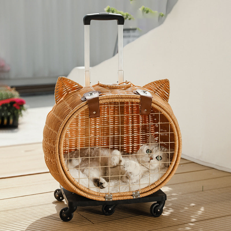 Contemporary Creative Cartoon Cat Iron PE Rattan Weaving Portable &amp; Movable Hollowed-Out Cat Bed 1- Basket For Garden