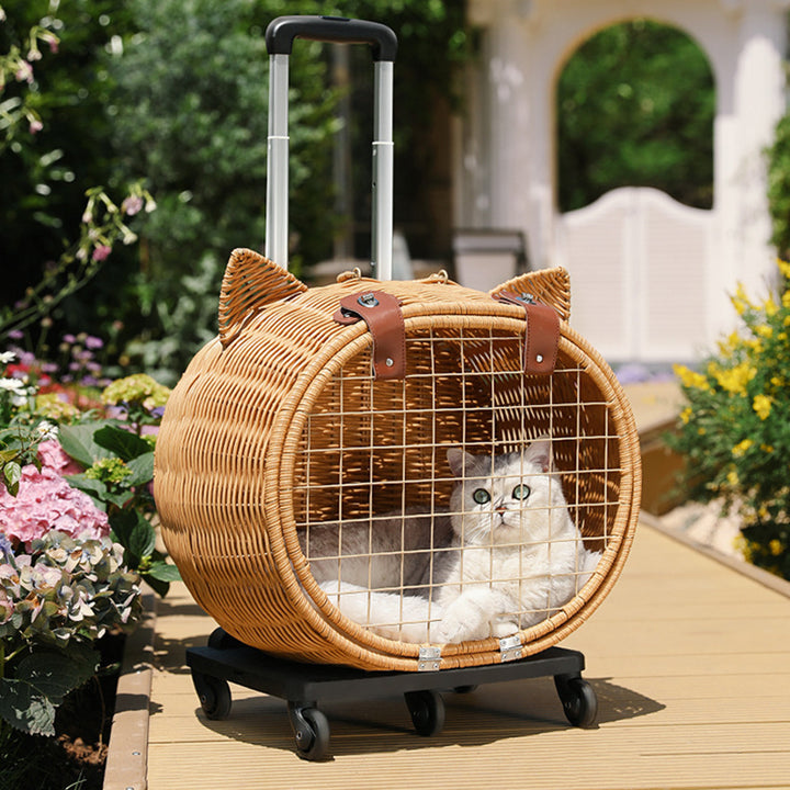 Contemporary Creative Cartoon Cat Iron PE Rattan Weaving Portable & Movable Hollowed-Out Cat Bed 1- Basket For Garden