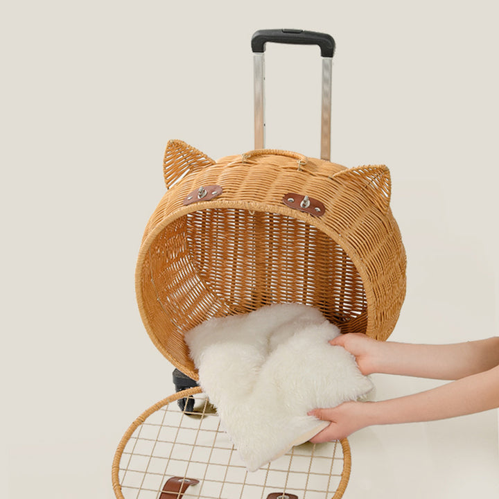 Contemporary Creative Cartoon Cat Iron PE Rattan Weaving Portable &amp; Movable Hollowed-Out Cat Bed 1- Basket For Garden
