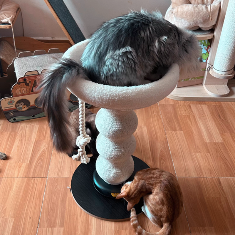 Tour pour chat contemporaine et créative en MDF, corde de sisal et courge, résistante aux rayures, peu encombrante, à 2 niveaux pour le salon 