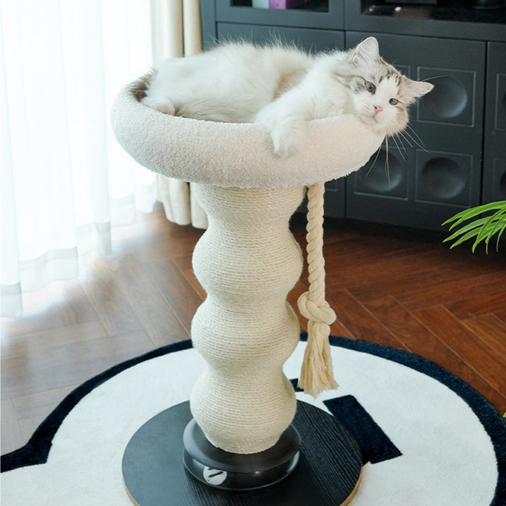 Tour pour chat contemporaine et créative en MDF, corde de sisal et courge, résistante aux rayures, peu encombrante, à 2 niveaux pour le salon 