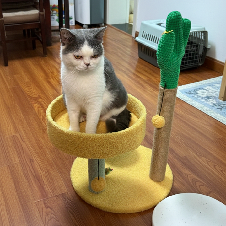 伝統的なラスティックサイザルロープMDFファブリックサボテン爪とぎ猫タワー3段階リビングルーム用 
