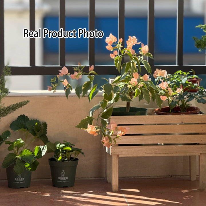 Traditional Rustic Pine Wood Rectangular Indoor Flower Storage Shelf 1/2/3-Tier For Balcony &amp; Living Room