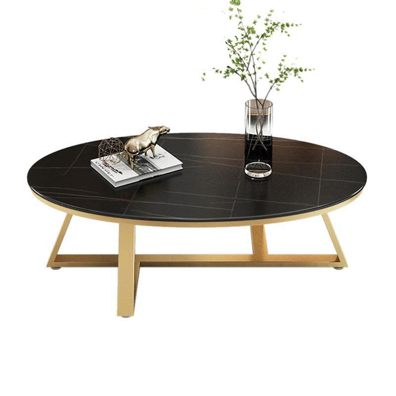 Contemporary Scandinavian Sintered Stone Iron Long Oval Coffee Table With 1-Tier For Living Room