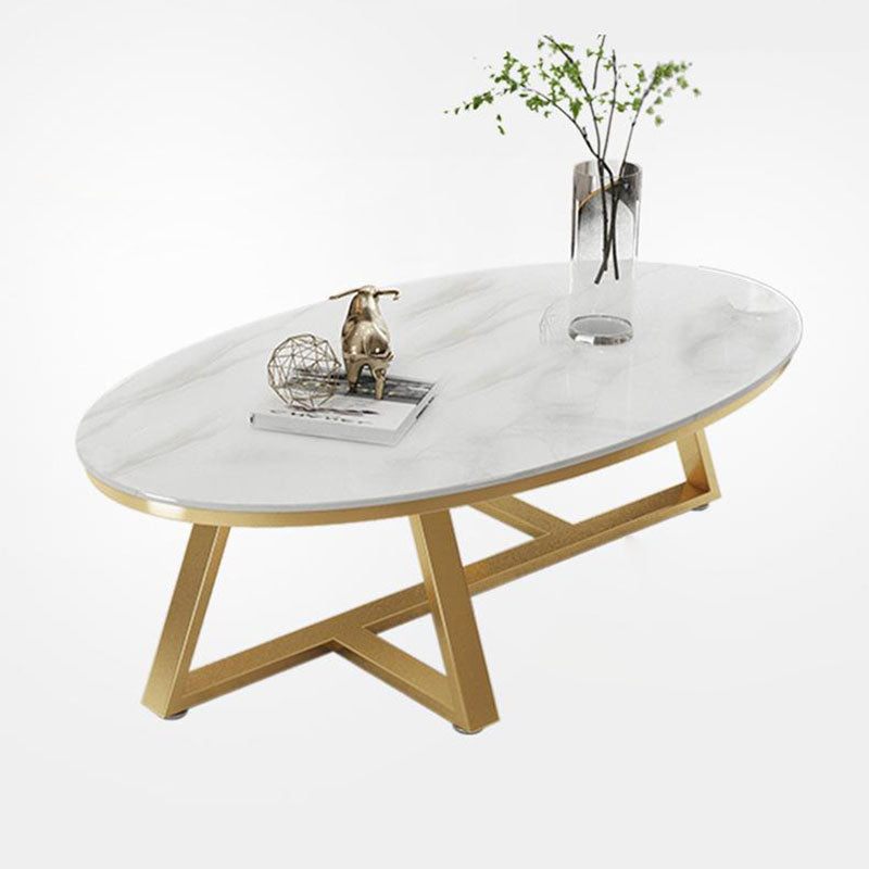 Contemporary Scandinavian Sintered Stone Iron Long Oval Coffee Table With 1-Tier For Living Room