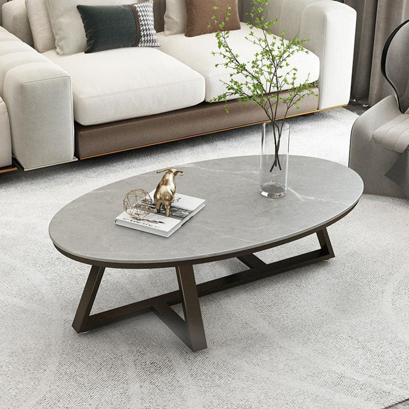 Contemporary Scandinavian Sintered Stone Iron Long Oval Coffee Table With 1-Tier For Living Room