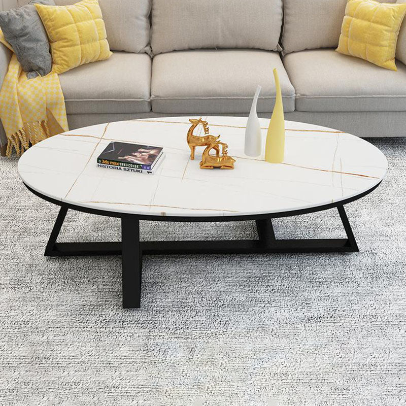 Contemporary Scandinavian Sintered Stone Iron Long Oval Coffee Table With 1-Tier For Living Room