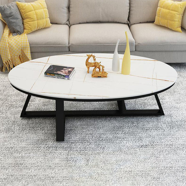 Contemporary Scandinavian Sintered Stone Iron Long Oval Coffee Table With 1-Tier For Living Room