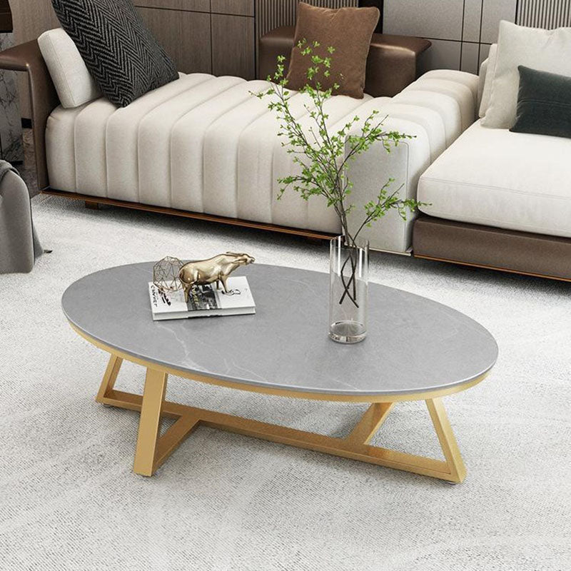 Contemporary Scandinavian Sintered Stone Iron Long Oval Coffee Table With 1-Tier For Living Room