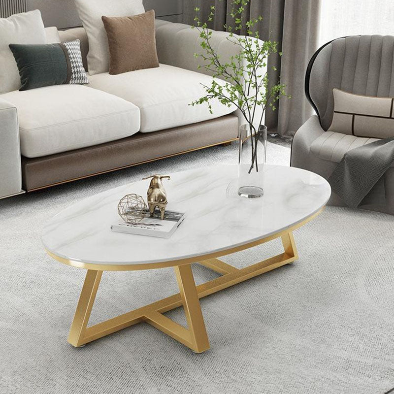 Contemporary Scandinavian Sintered Stone Iron Long Oval Coffee Table With 1-Tier For Living Room