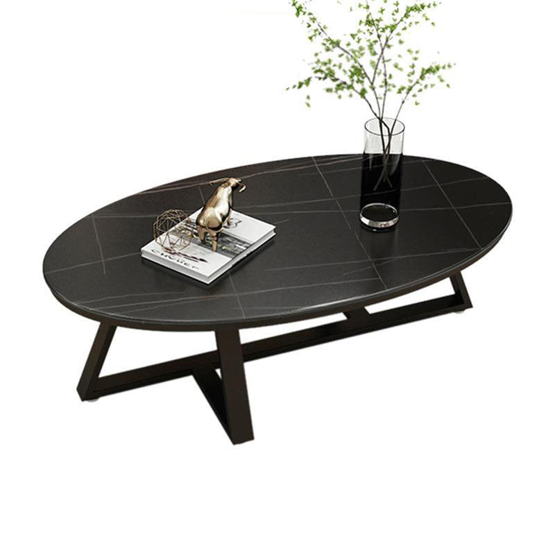 Contemporary Scandinavian Sintered Stone Iron Long Oval Coffee Table With 1-Tier For Living Room
