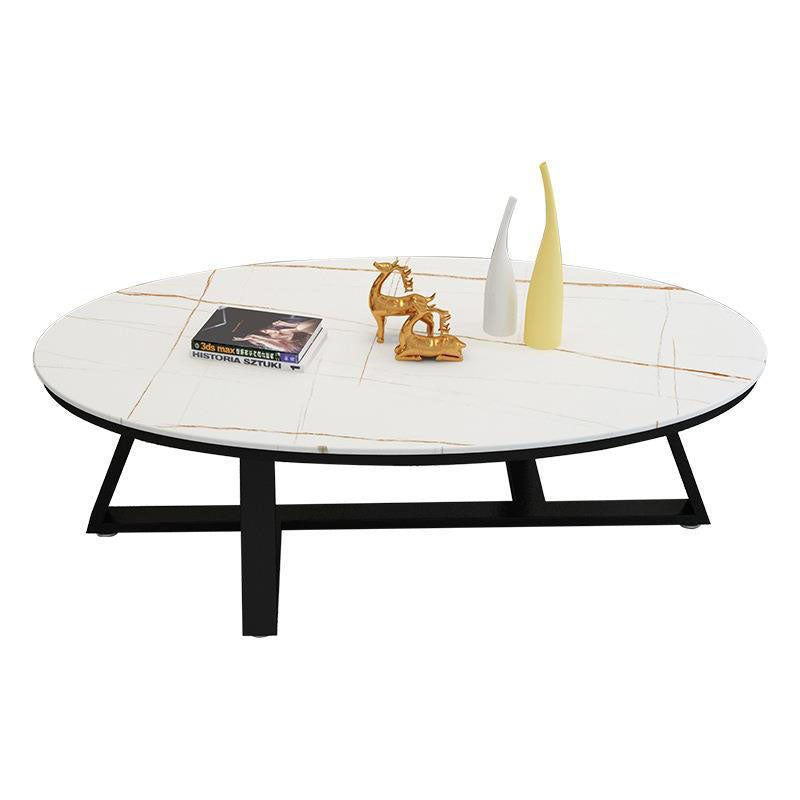 Contemporary Scandinavian Sintered Stone Iron Long Oval Coffee Table With 1-Tier For Living Room