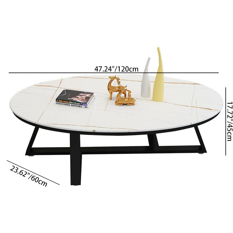 Contemporary Scandinavian Sintered Stone Iron Long Oval Coffee Table With 1-Tier For Living Room