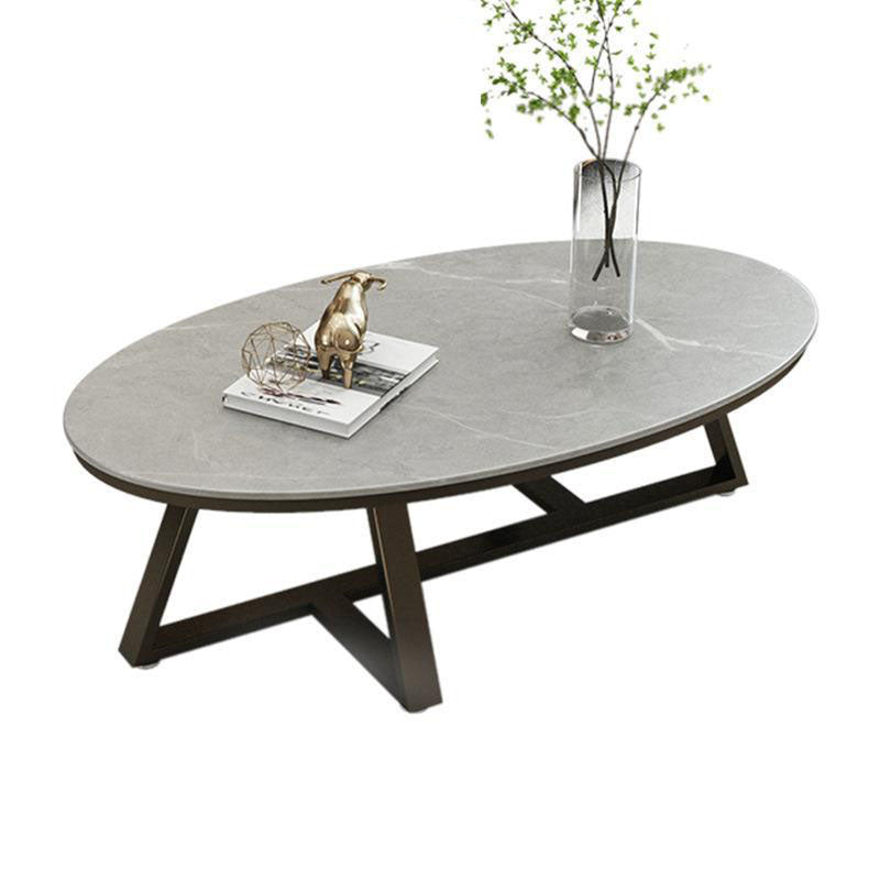 Contemporary Scandinavian Sintered Stone Iron Long Oval Coffee Table With 1-Tier For Living Room