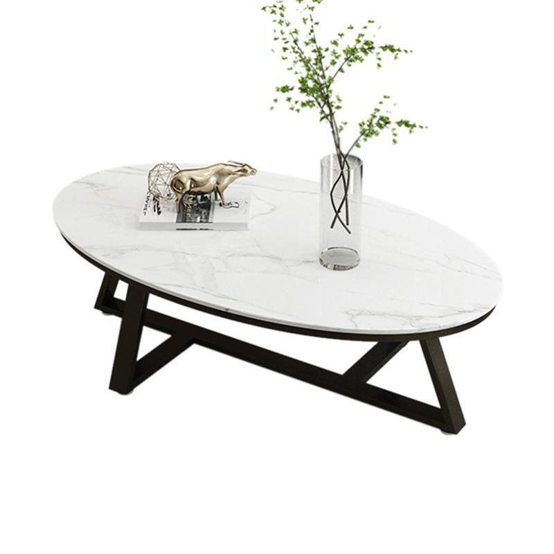 Contemporary Scandinavian Sintered Stone Iron Long Oval Coffee Table With 1-Tier For Living Room