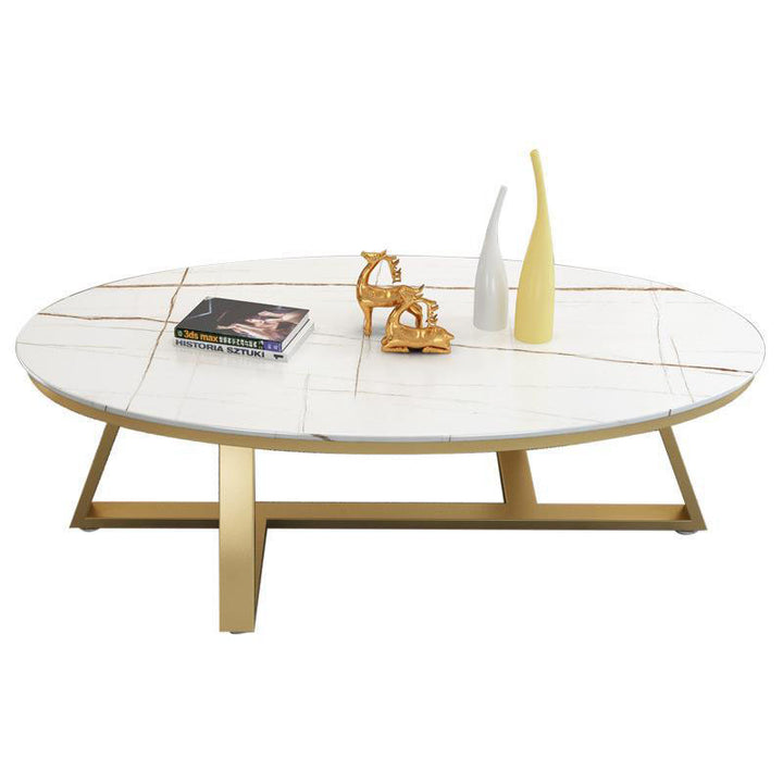 Contemporary Scandinavian Sintered Stone Iron Long Oval Coffee Table With 1-Tier For Living Room