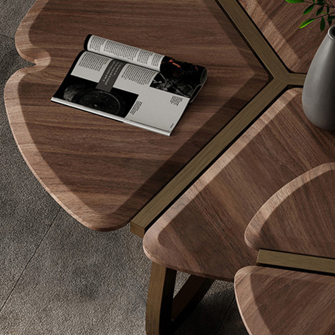 Mesa de centro contemporánea de madera de nogal negro retro en forma de pétalo para sala de estar 