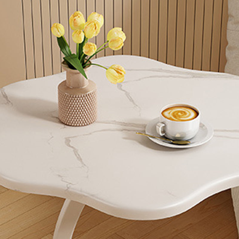 Modern Minimalist Hexagonal MDF Carbon Steel Side Table 1-Leg For Living Room