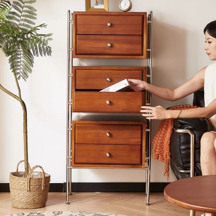 Armoire de rangement contemporaine rétro rectangulaire en acier inoxydable, hévéa, pin et bois de cerisier à 6 tiroirs pour salon 