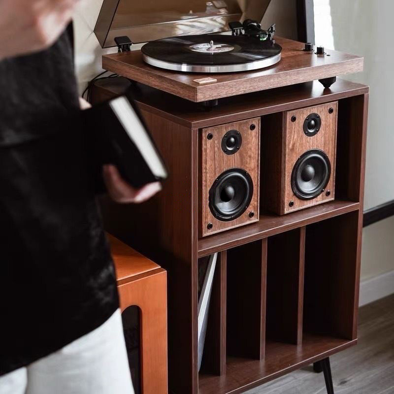 Moderner minimalistischer rechteckiger Schallplatten-Aufbewahrungsschrank aus Spanplatte und Metall, 2 Ebenen, für das Wohnzimmer 