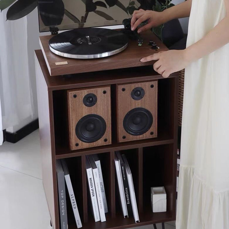 Moderner minimalistischer rechteckiger Schallplatten-Aufbewahrungsschrank aus Spanplatte und Metall, 2 Ebenen, für das Wohnzimmer 