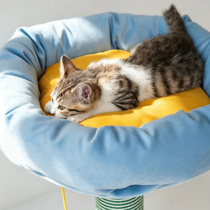 Árbol rascador pequeño para gatos estilo nórdico crema - torre para gatos con estructura de tablero de partículas, terciopelo y pelota colgante de sisal para sala de estar 