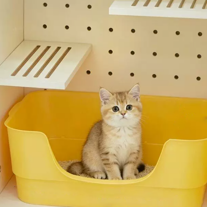 Contemporary Cat Litter Box Furniture With Colorful Acrylic Cat Tree - Creative Plywood Round Scratching Post Cat Bed For Entryway