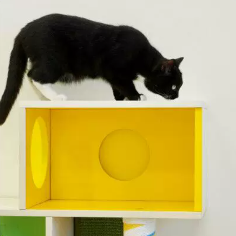 Contemporary Geometric Plywood Cat Furniture With Colorful Acrylic Panels - Creative Cat Houses Scratching Posts And Platforms For Entryway