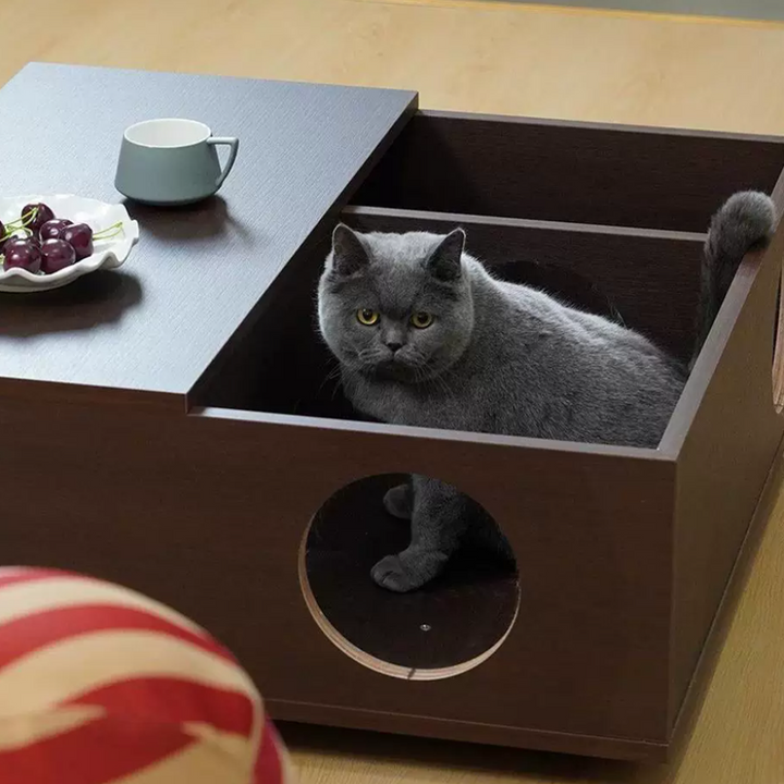 Contemporary Cat Furniture Coffee Table With Hidden Cat House - Scandinavian Acrylic Viewing Panel Hidden Cat Bed For Living Room &amp; Bedroom