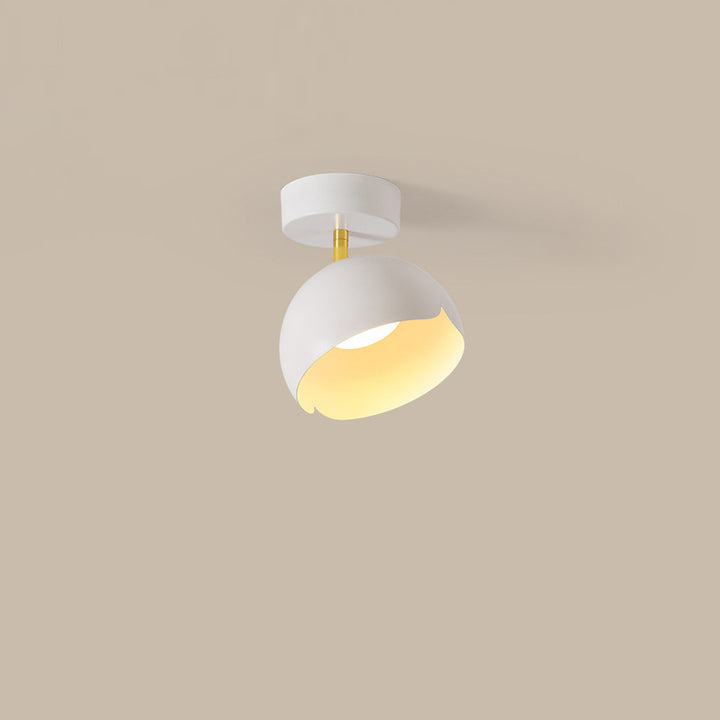 Modern Simplicity Hardware Iron Flower 1-Light Semi-Flush Mount Ceiling Light For Entryway