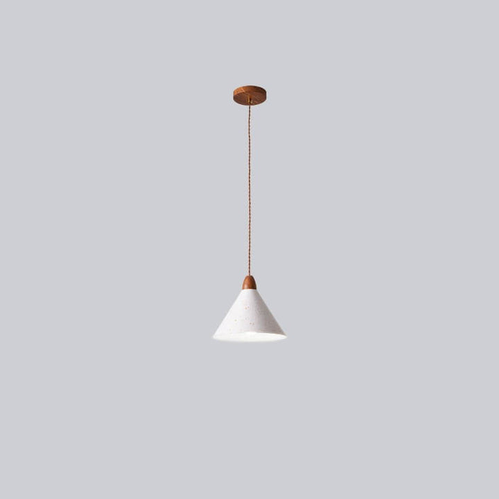 Modern Minimalist Cone Iron Solid Wood Grain 1-Light Pendant Light For Living Room