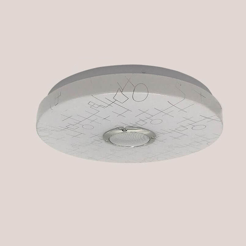 Modern Minimalist Round White APP Smart Control Bluetooth LED Flush Mount Light