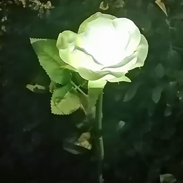 Luz Solar Moderna de Jardín Rosa LED con Enchufe de Tierra para Exteriores 