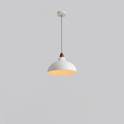 Matériel de couvercle de pot en dôme rond minimaliste moderne 1-lumière suspension pour salon 