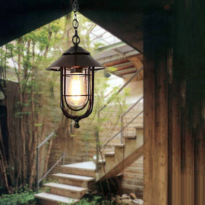 Zeitgenössische industrielle Vogelkäfig Eisen Glas 1-Licht Pendelleuchte für Garten 