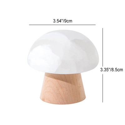 Nordic Vintage Clear Dome Acryl LED USB Tischlampe 