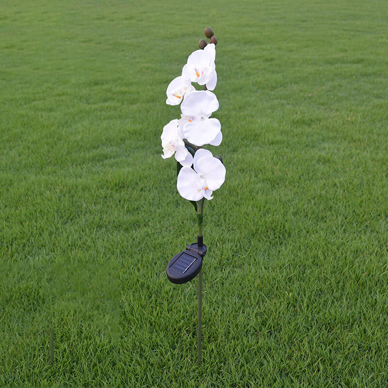 Solar Modern Silk Ground Plug Simulation Phalaenopsis LED Outdoor Light