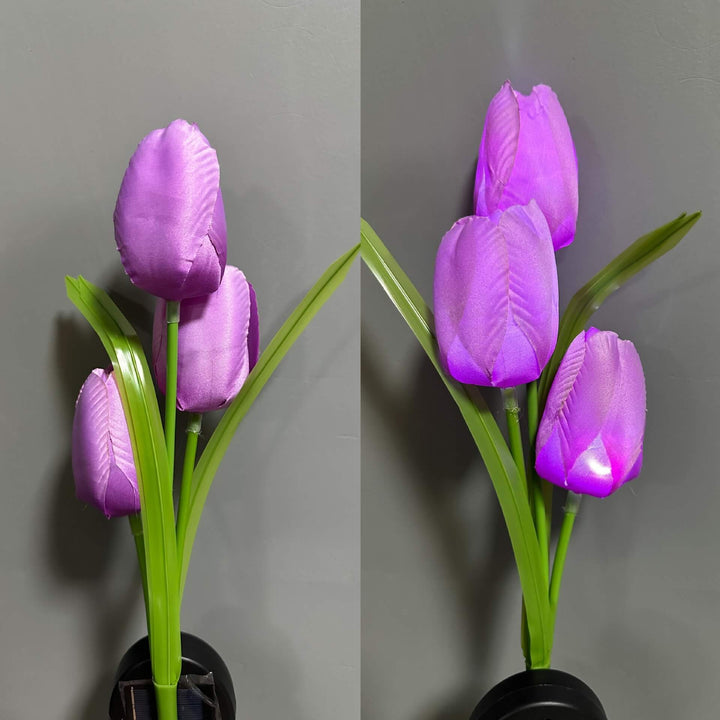 Contemporary Creative Outdoor Solar Tulip LED Waterproof Lawn Ground Decorative Insert Landscape Light
