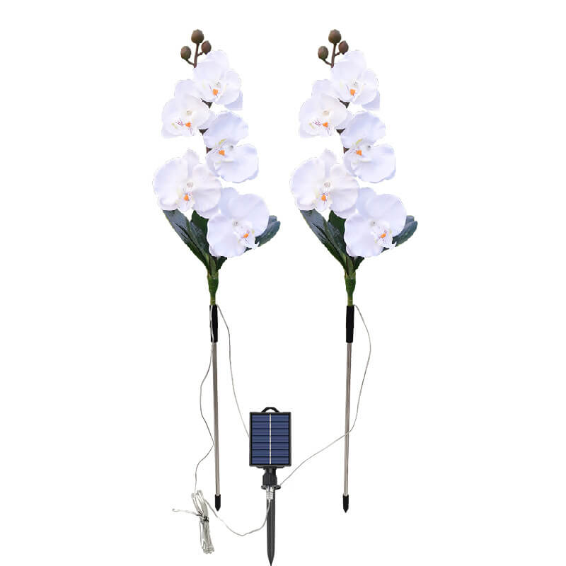 Solar Modern Silk Ground Plug Simulation Phalaenopsis LED Outdoor Light