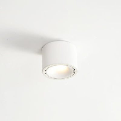 Modern Minimalist Round Spotlight Adjustable LED Flush Mount Ceiling Light