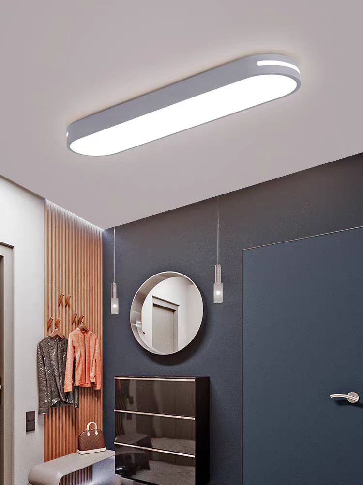 Modern Minimalist Elliptical Strip Iron Acrylic LED Flush Mount Ceiling Light For Hallway
