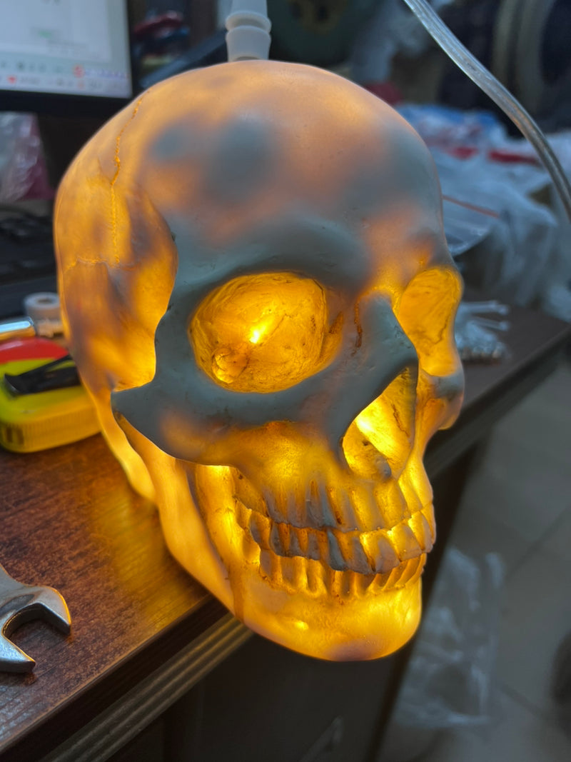 Skull Resin Shade 1-Light Pendant Light