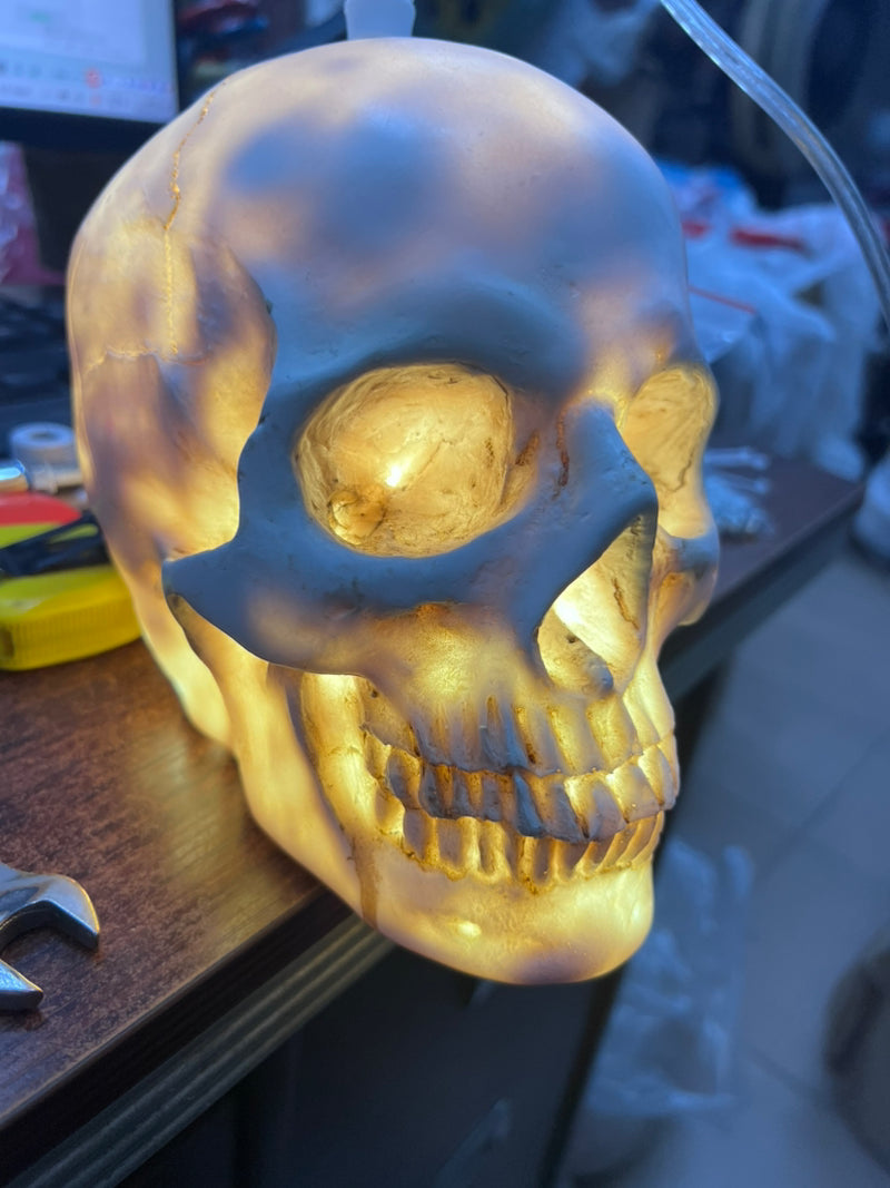 Skull Resin Shade 1-Light Pendant Light